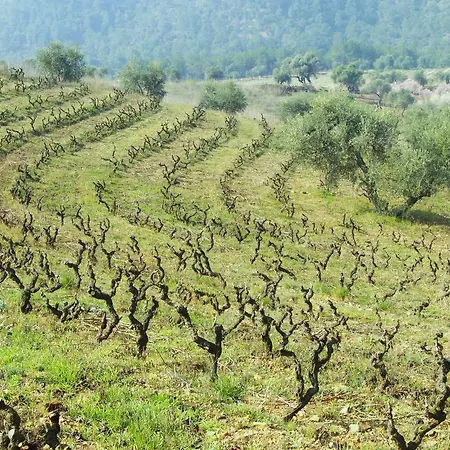Vakantieboerderij Mas Figueres
