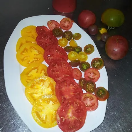 Mas Figueres Farma *