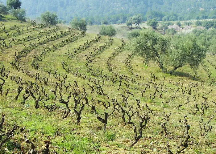 Bauernhof Mas Figueres